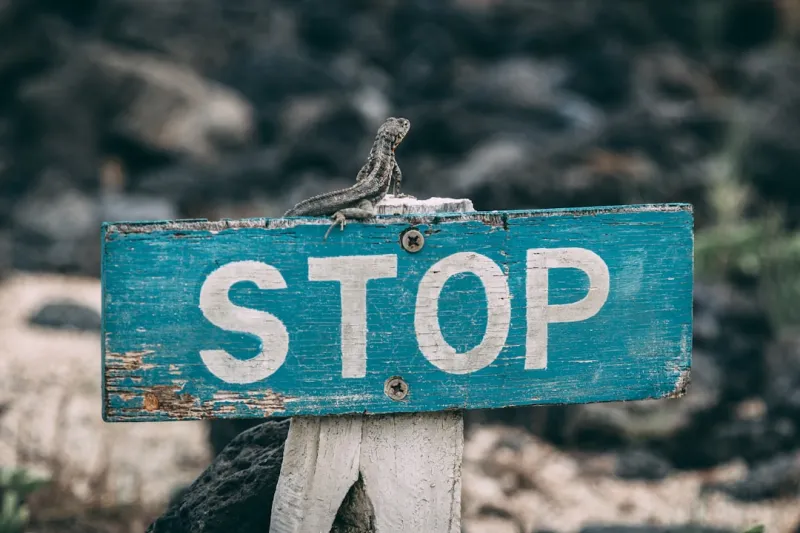 Why Your RAM Keeps Crashing and How to Stop It in 2026